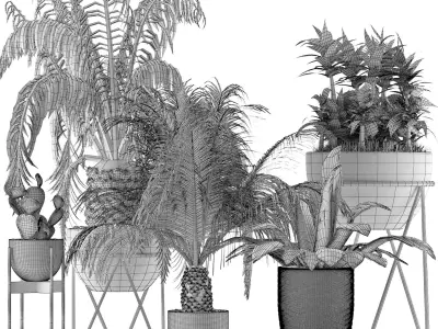 Plants Collection 22 3D model