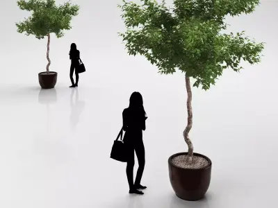 Young tree in ceramic pot 3D model