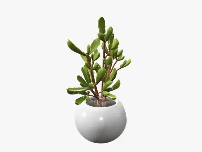 Potted plant decorative 08 3D model