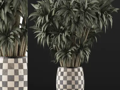 Plants Collection 97 3D model