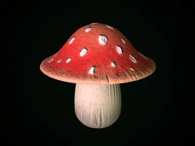 Swamp Fantasy Mushrooms Low-poly 3D model