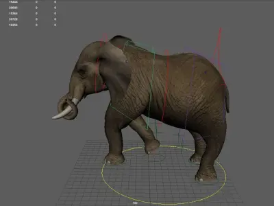 Elephant  Animation Low-poly 3D model