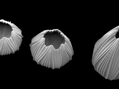 Vases 04 3D model