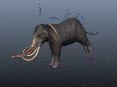Asiatic Elephant Rig Low-poly 3D model