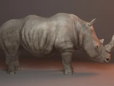Rhino 3d model rigged  Low-poly 3D model