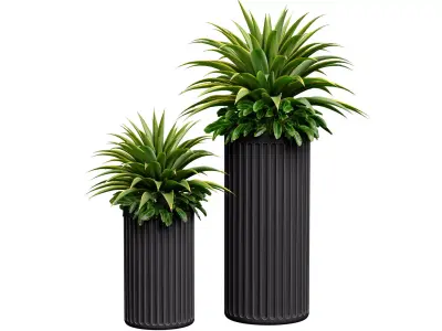 Decorative tropical plant Agave in a modern vase urn set 3D model