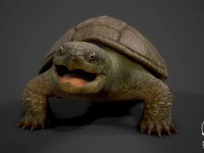Common Snapping Turtle Low-poly 3D model
