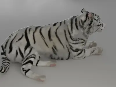White tiger 3D model