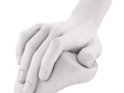 The Plaster Model of Davids Hand 3D model