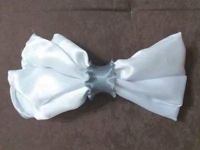 Blossom Napkin Ring 3D print model