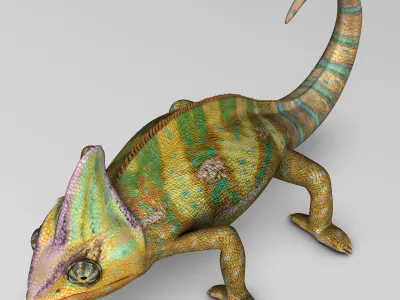 Chameleon - Color 3D model