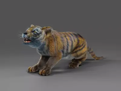 Fur Tiger Cub Rigged and Animated in Blender Low-poly 3D model