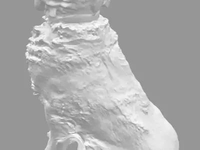 Cocker spaniel 3D model