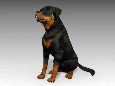 Rottweiler Animated Low-poly 3D model