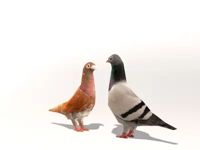 Two Pigeons Low-poly 3D model