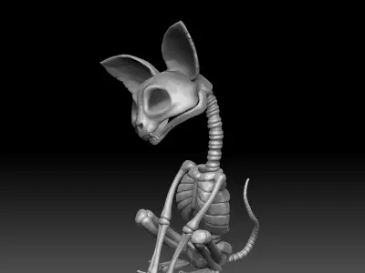 Bones Kitti Printable 3D print model
