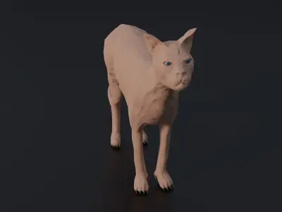 Sphynx Cat Low-poly 3D model