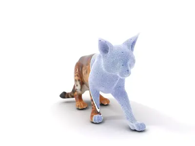 Elegant Lynx Cat model pack Low-poly 3D model