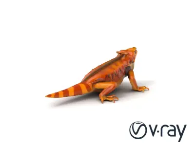ThunderScale Bearded Dragon model pack Low-poly 3D model