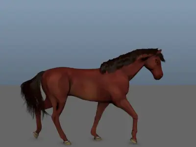 Animated Horse 3D model