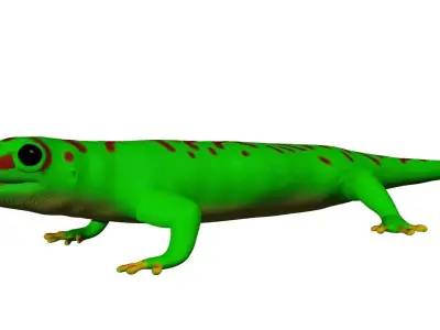 Madagascar Day Gecko 3D model