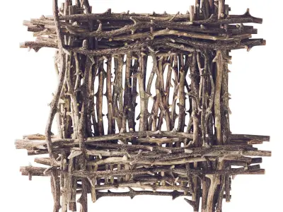 Branch decor old tree Two n2  3D model