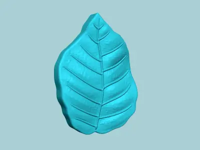 European Beech Leaf - Molding Artificial EVA Craft 3D print model