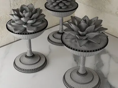 Succulents three gold planters with on marble countertop 3D model