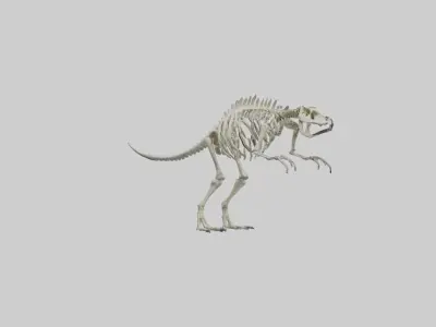 guanodon Skeleton model Low-poly 3D model