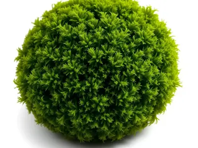 Verdant Sphere Moss model pack Low-poly 3D model