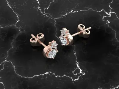 Jewelry Earring 3D print model 3