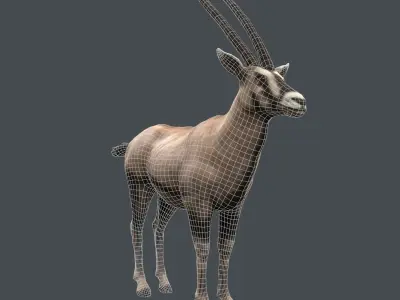 Oryx Antelope Low Poly  Low-poly 3D model