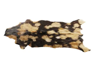 Goat skin carpet 3D model