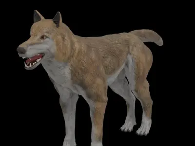 Wolf Game Model Low-poly 3D model