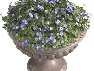 Blue Flowers in container pot 3D model