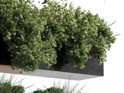wall plant - hanging plants collection Indoor plant 446  3D model