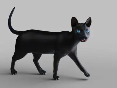 Cat Black Rigged and Animated Low-poly 3D model