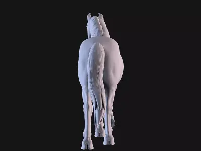 Horse 3D print model 9