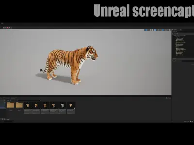 Bengal Tiger Animated UNREAL project  Maya base rig 3D model