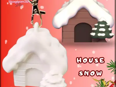 House Snow 3D print model