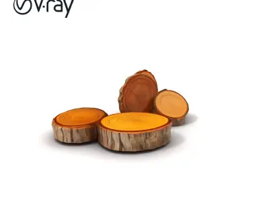 Wood Slice Model Pack with Detailed Textures Low-poly 3D model