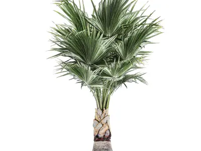 Decorative palm in a white flowerpot 818 3D model
