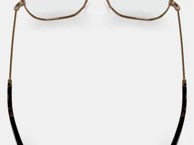 Abe Eyeglasses in Polished Gold 3D model