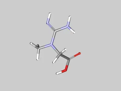 Creatine molecule 3D model