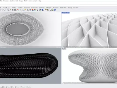 3D Organic Stadium Made in Rhino 3D 3D model