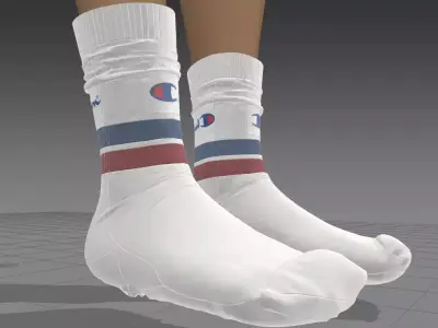champion socks 3D model