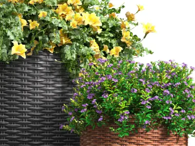 Flowerbed in a garden pot Flowers Garden Plant  3D model