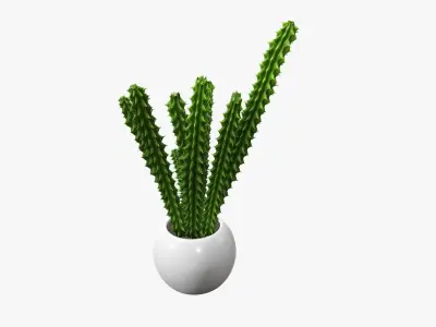 Potted plant decorative 07 3D model