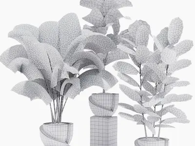 Indoor Plant Set 18 3D model