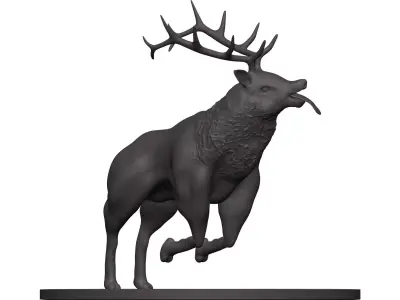 Elk-Elk deer with antlers 3D model